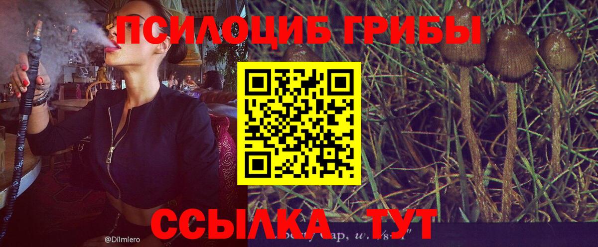 Бузулук  Галлюциногенные грибы Psilocybe  Вход с VPN  Галлюциногенные грибы Cubensis 